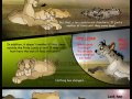 Taka_Comic_73_part_3_by_Savu0211.jpg